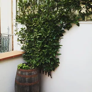 Appartement Il Terrazzino Sul Kemonia, Palerme